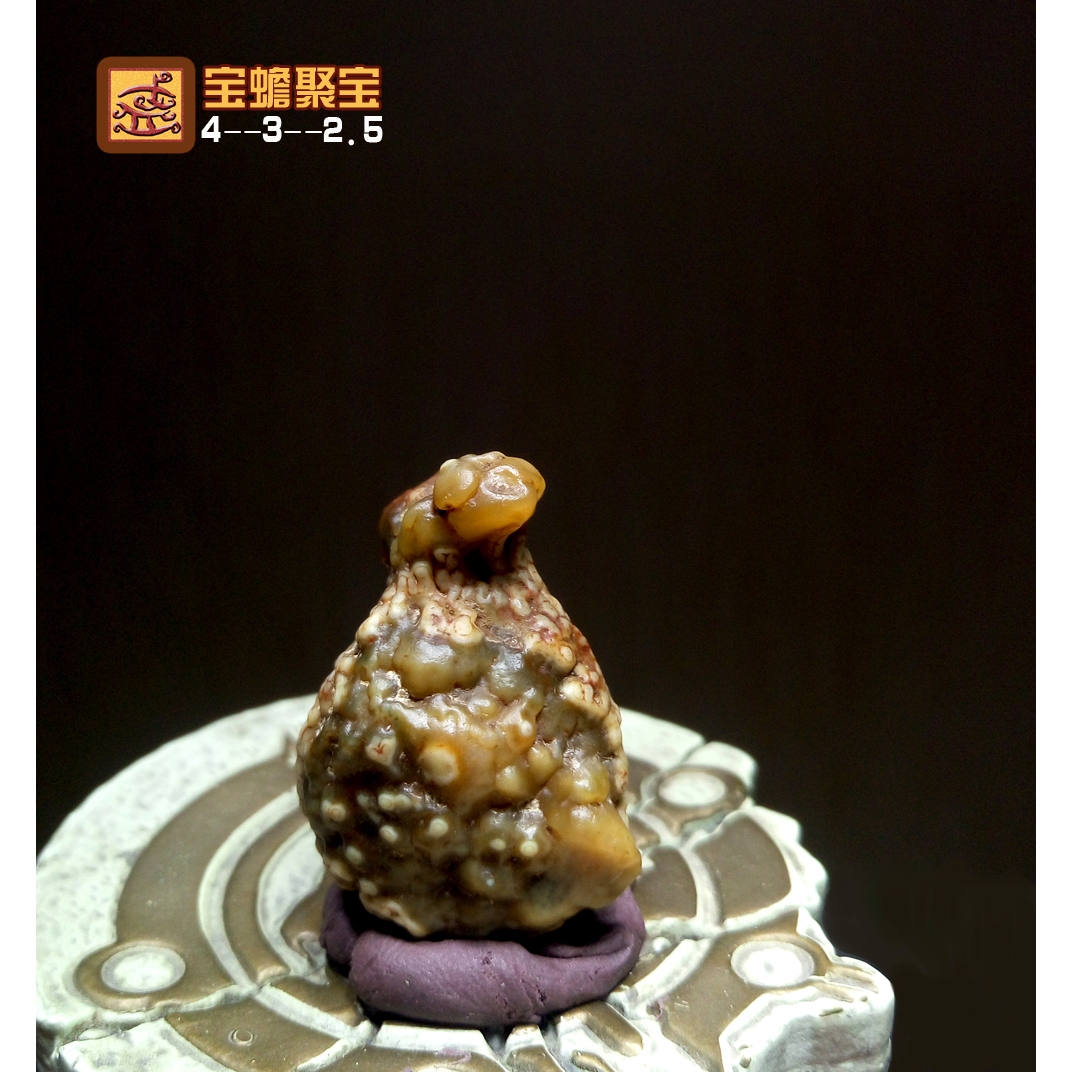 宝蟾聚宝