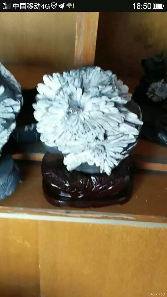 玄冰玉雕——菊花石