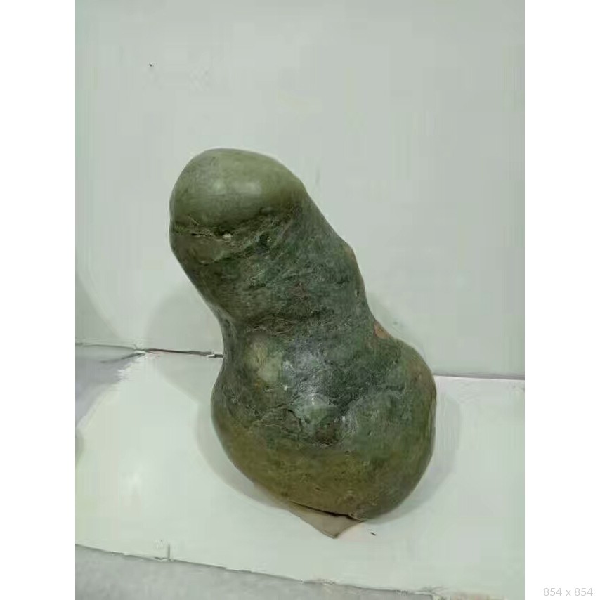 生命之源
