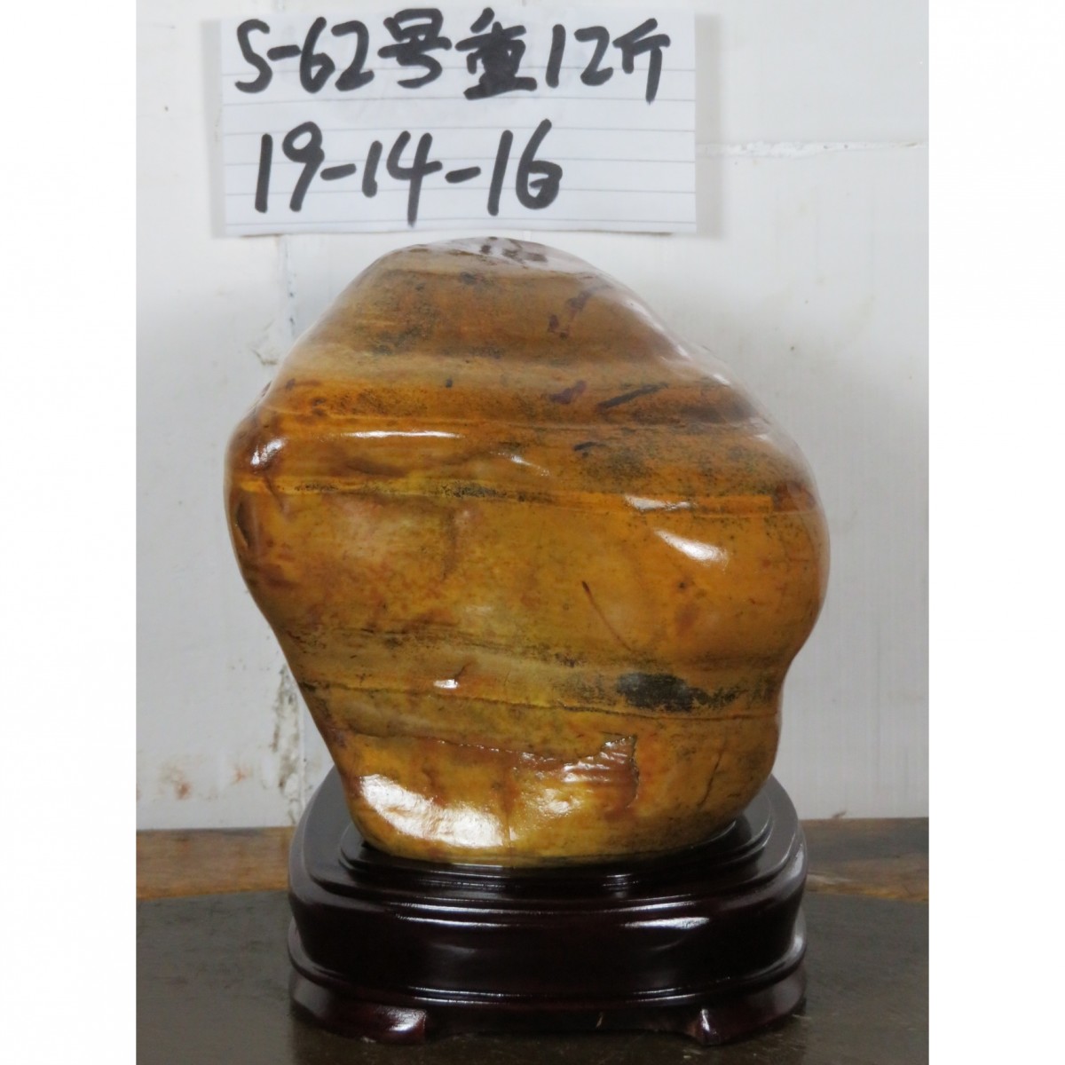 观赏石 大化石,s62号, 藏品名称:大化石,s62号, 石种:大化 产地