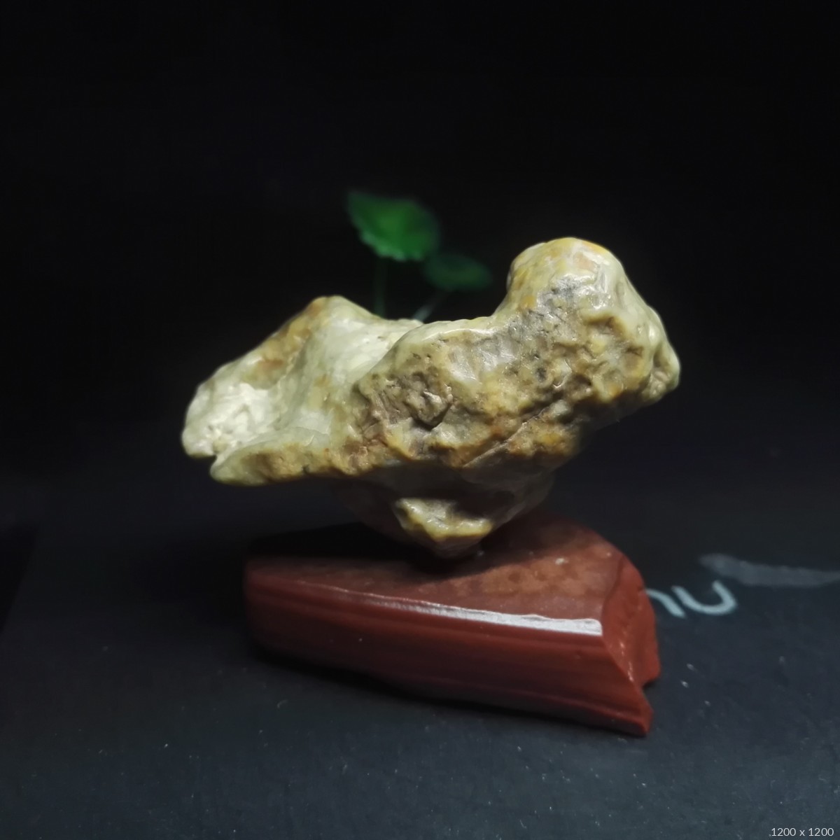 5*3 重量:未知 底座:不含 藏品意蕴:像型小鸟碧玉牙石,皮质光滑,满百