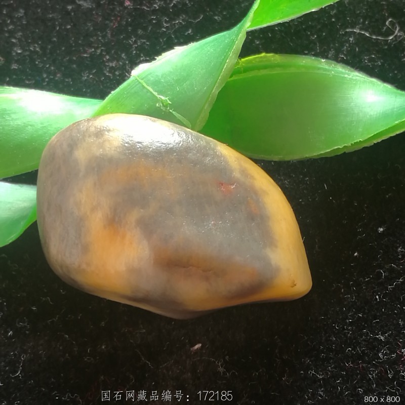 石馆 迦南美玉  金丝玉花彩  藏品名称:金丝玉花彩 石种:新疆乌尔禾