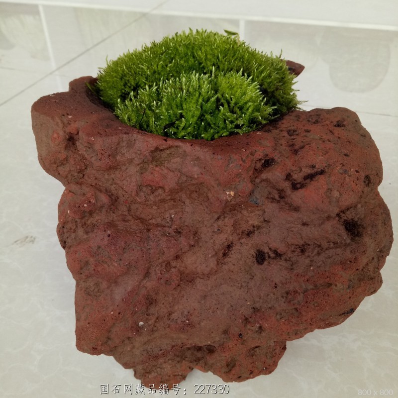 火山石花盆(9斤)