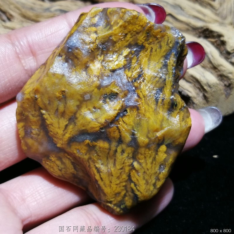 阿拉善娜娜奇石  草花石  藏品名称:草花石 石种:草花玛瑙材料石 产地