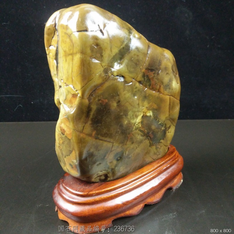 石馆 百汇奇石 广西大化石 藏品名称:广西大化石 石种:大化石 产地