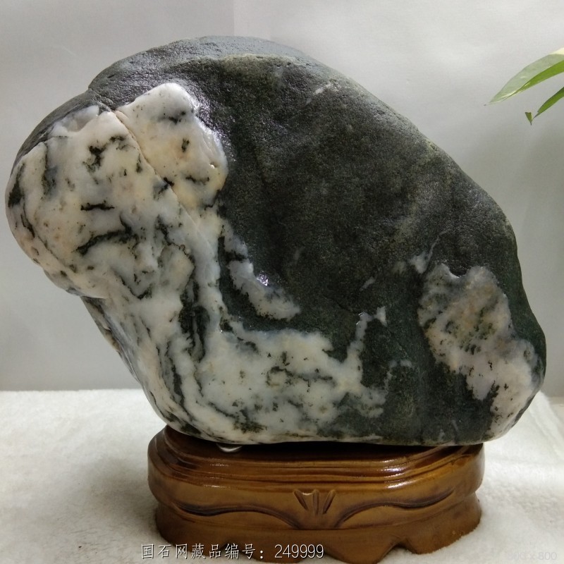 石馆 天然奇石部落  天狗望月  藏品名称:天狗望月 石种:祁连玉【图案