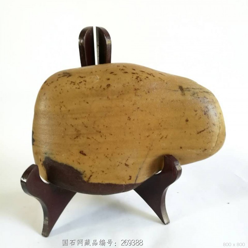 古埃及头像