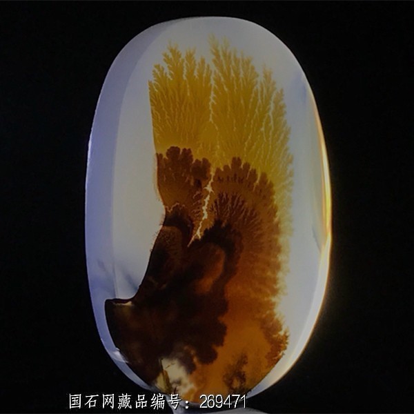 珊瑚争艳 - 石馆 - 国石网