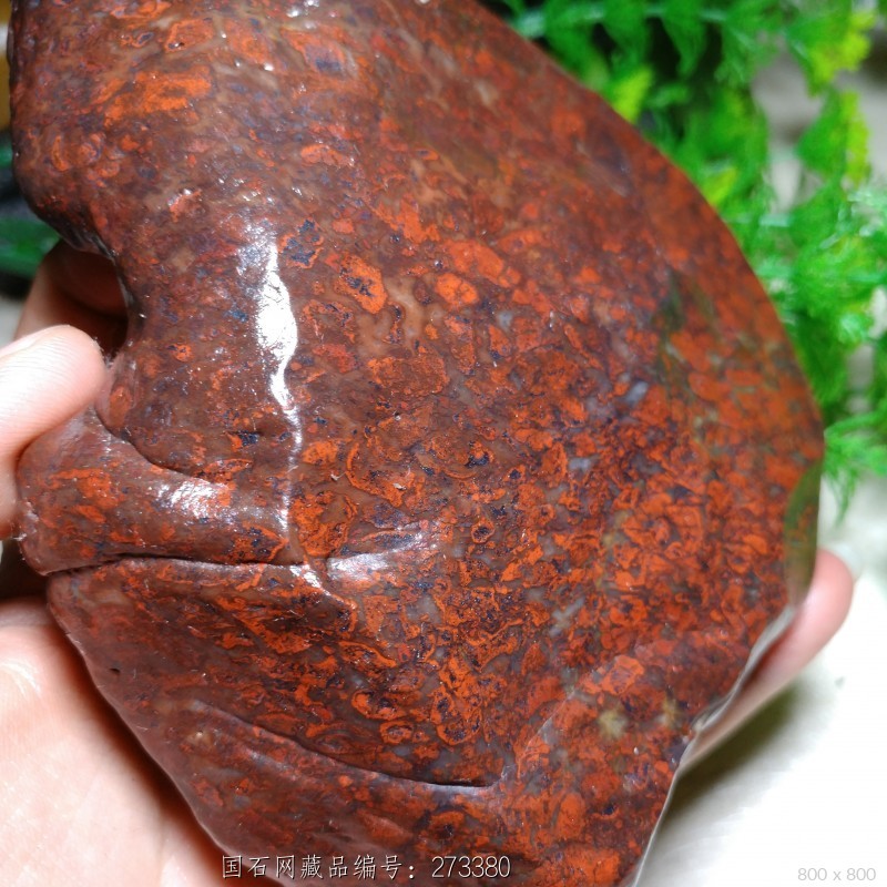 石馆 新疆戈壁玉  红伊丁(鸡血石)  藏品名称:红伊丁(鸡血石) 石种