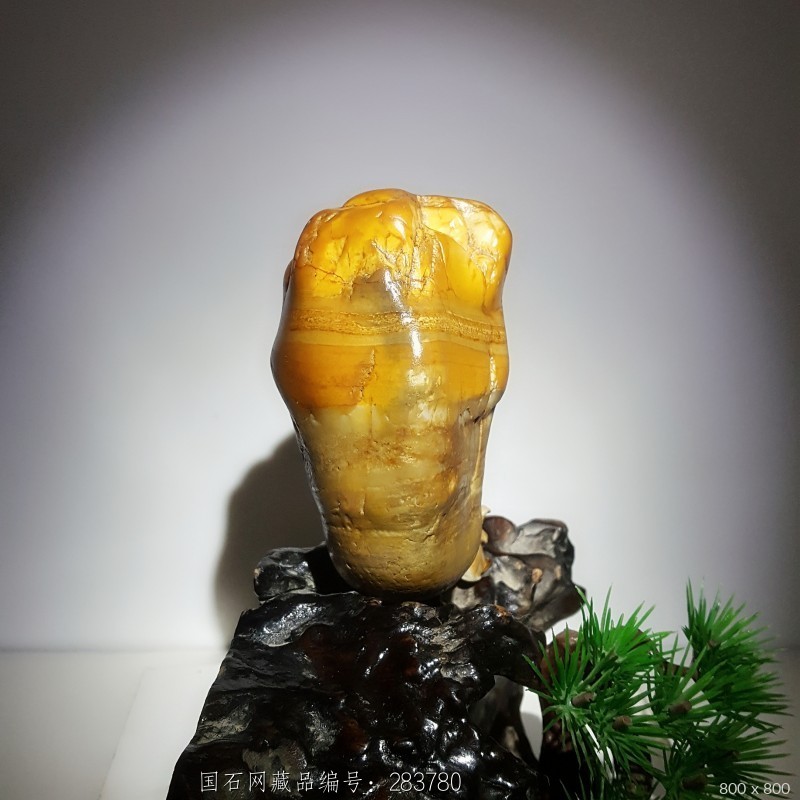 石馆 翰石轩奇石馆 大化石 藏品名称:大化石 石种:大化石 产地