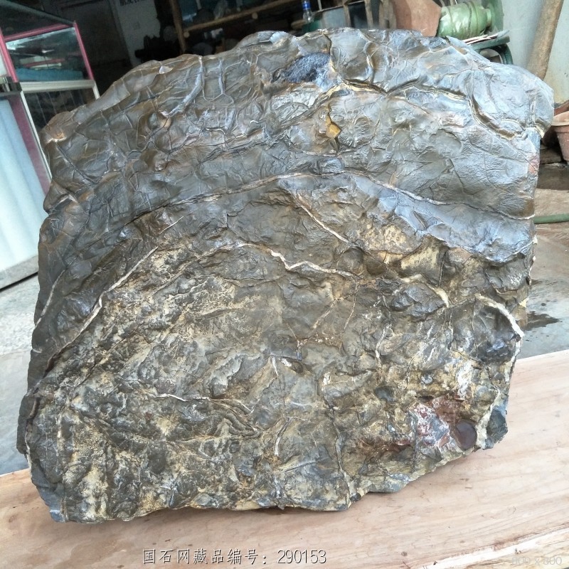 收藏级精品龟纹石大摆件