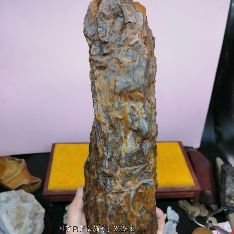 石馆 中国云石轩精品馆  戈壁石新疆大南湖地表硅化木  藏品名称:戈壁