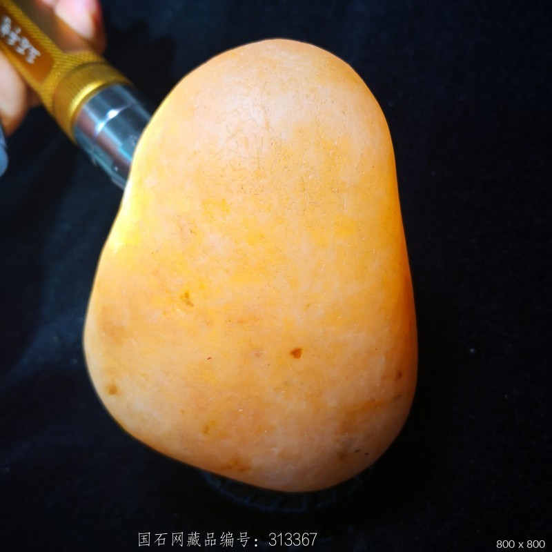 冻料金丝玉