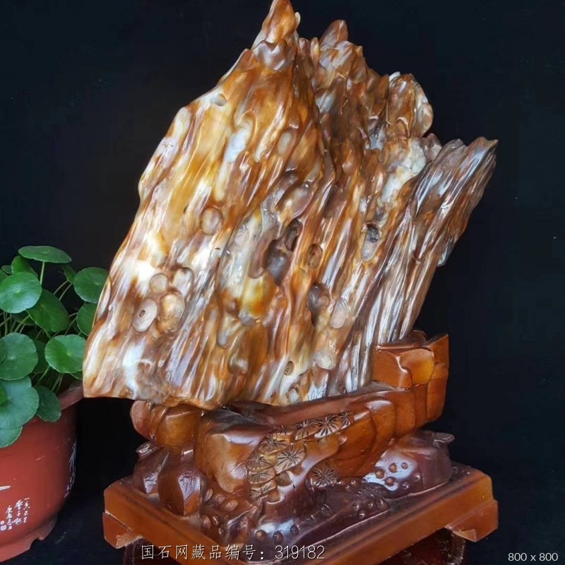 天然树化玉摆件精品木化石镇宅风水奇石