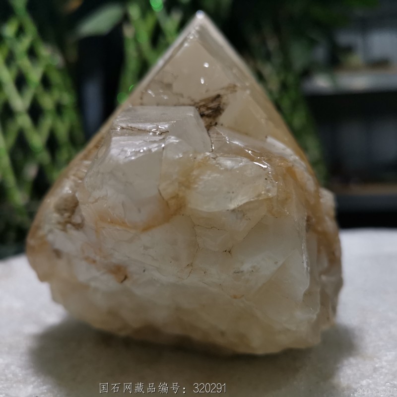 龙神湖畔 老师的 冰糖