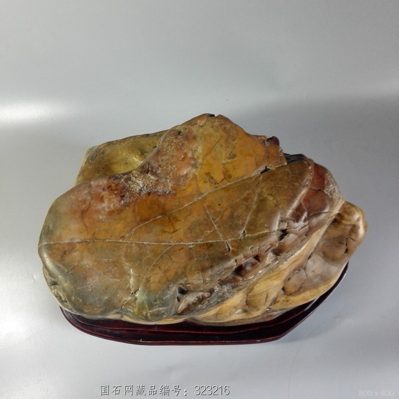 《石悦斋》灵璧石 大化石--2 藏品名称:大化石--2 石种:大化石 产地