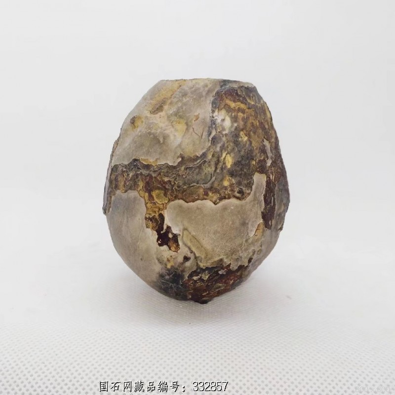 龟纹石壳