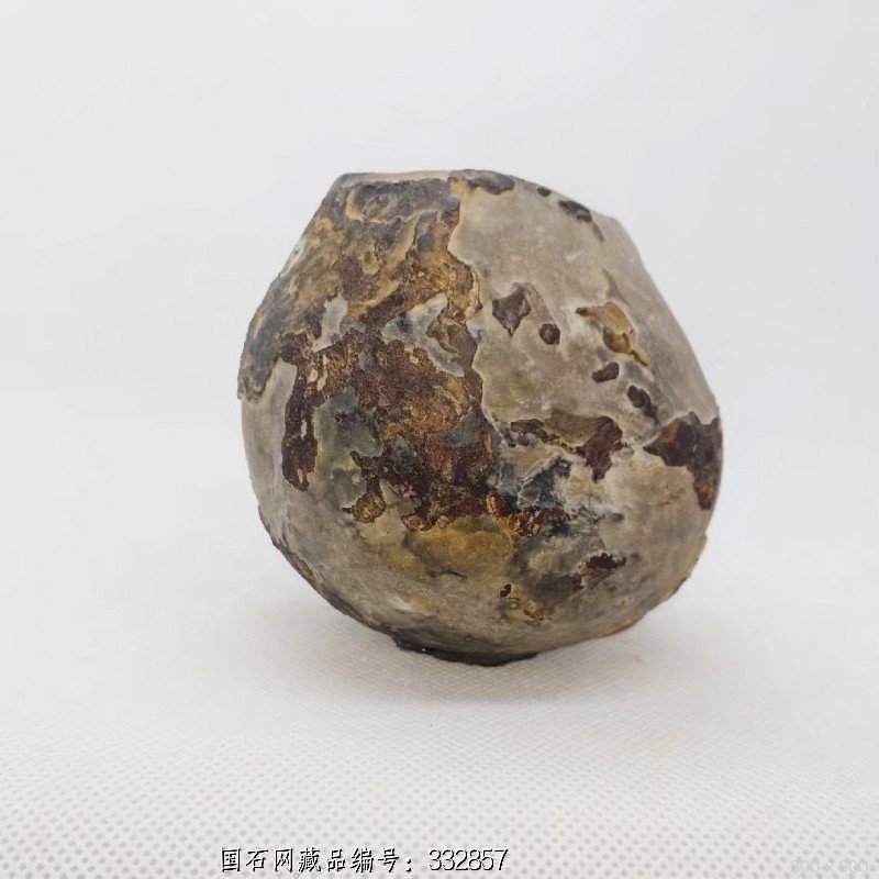 龟纹石壳