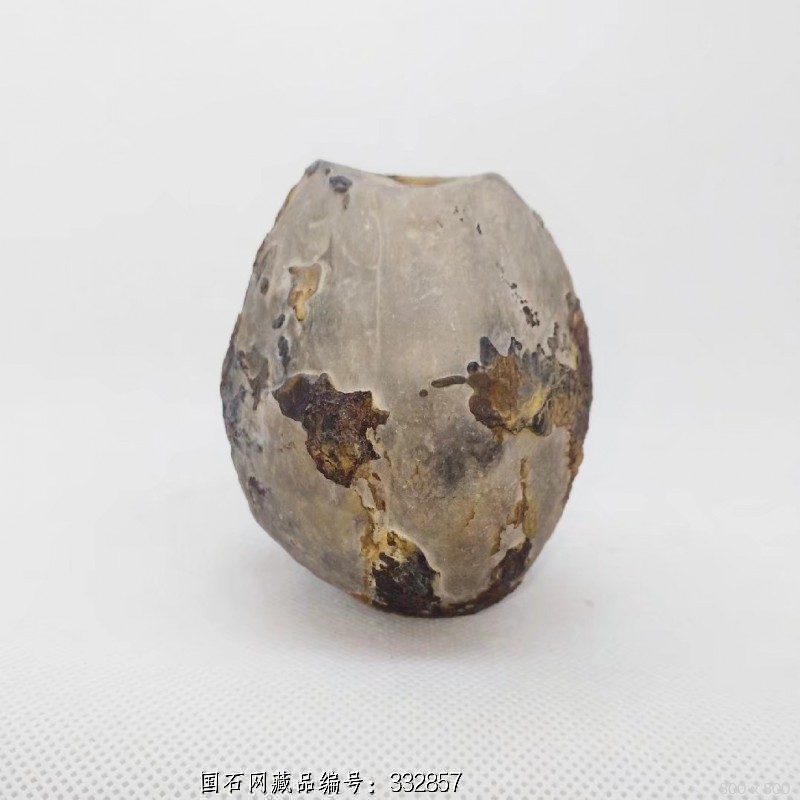 龟纹石壳