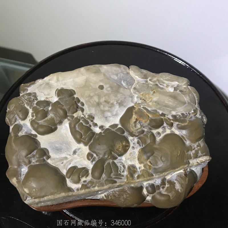 灵璧珍珠石,花梨底座