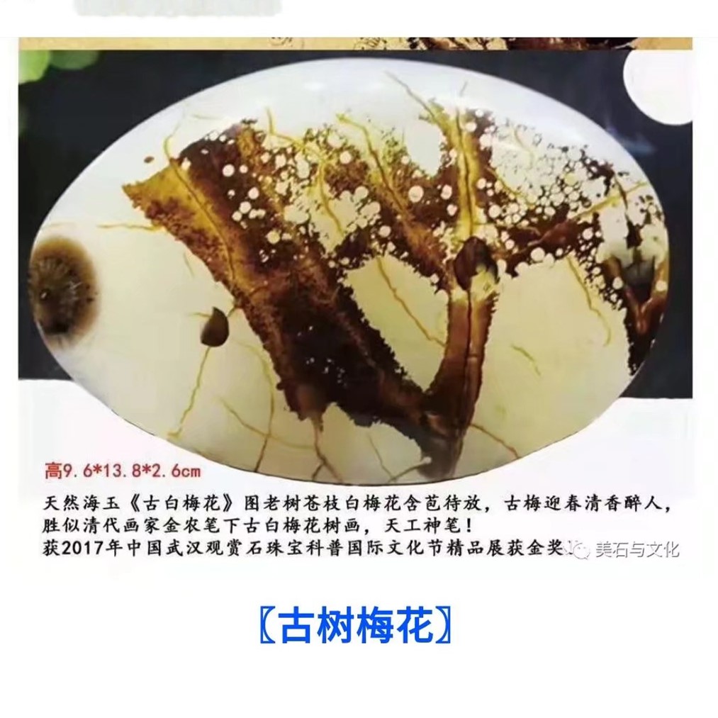 恭贺海玉界再获佳绩