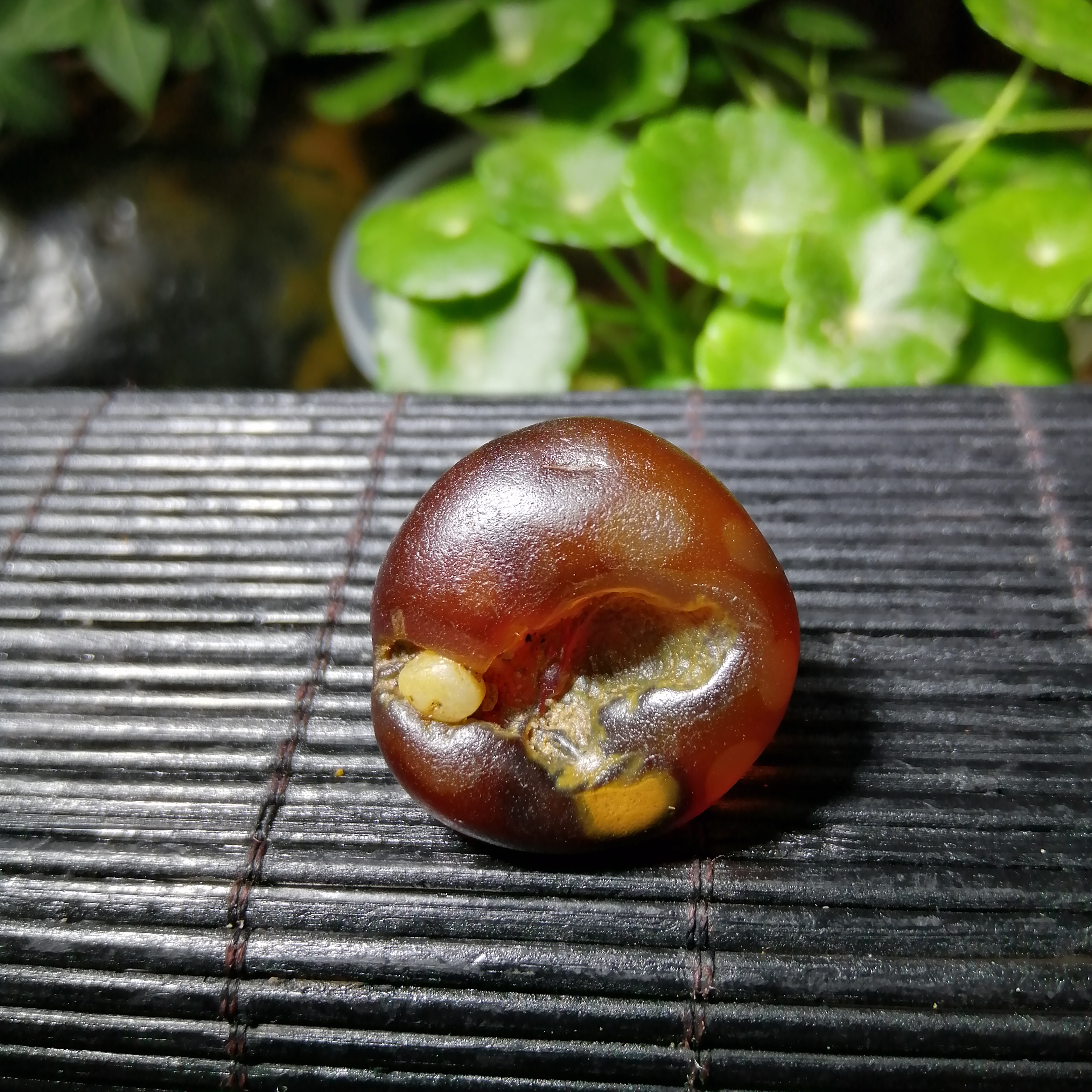 笑掉大牙