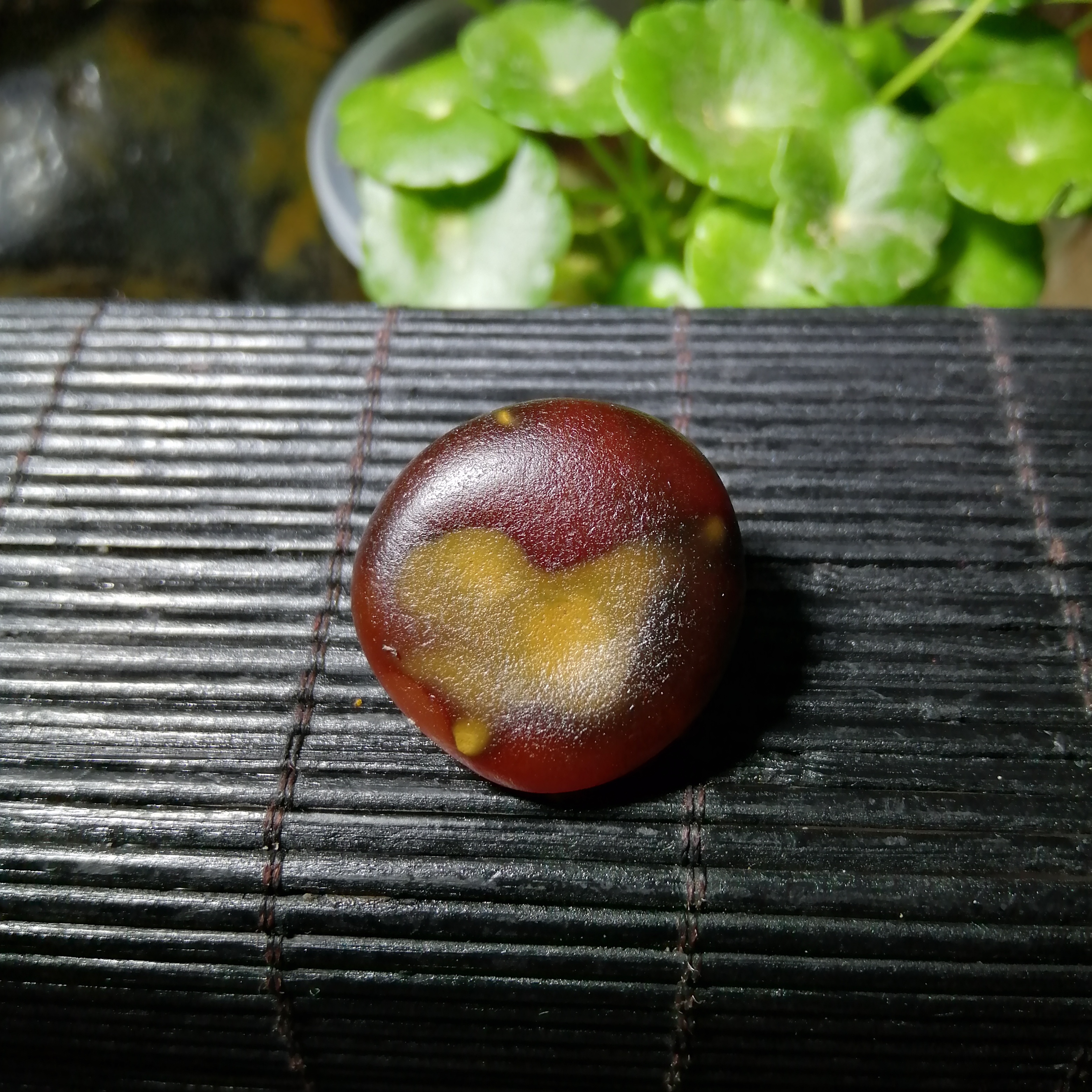 笑掉大牙