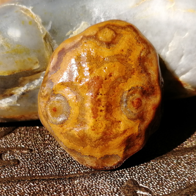 阿拉善戈壁玛瑙象形眼睛石