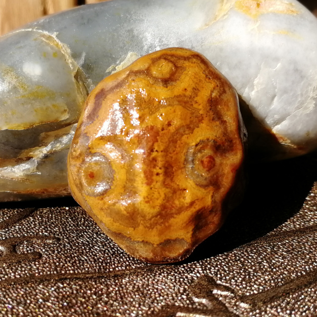 阿拉善戈壁玛瑙象形眼睛石