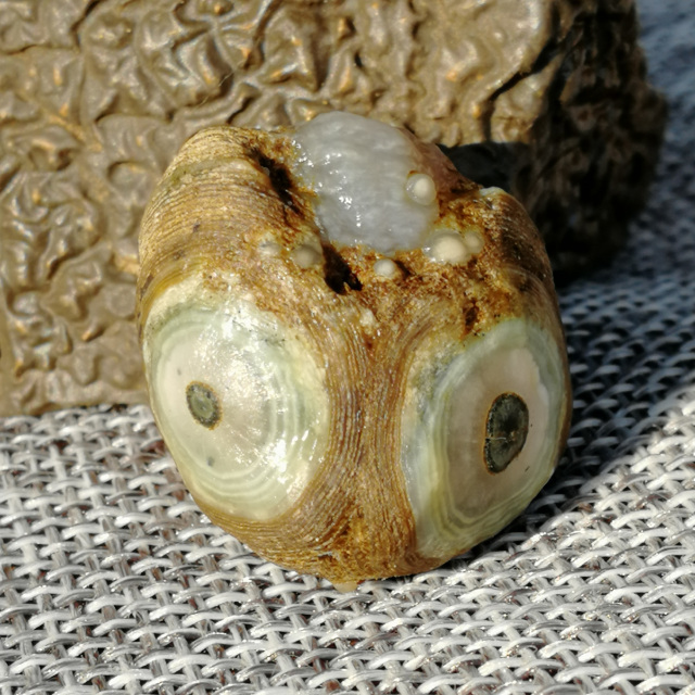 阿拉善戈壁玛瑙眼睛石已出欣赏