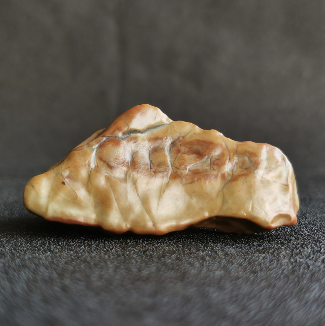 阿拉善戈壁玛瑙原石，马牙石，象形石：生命崇拜。请看楚尺寸再拍！
