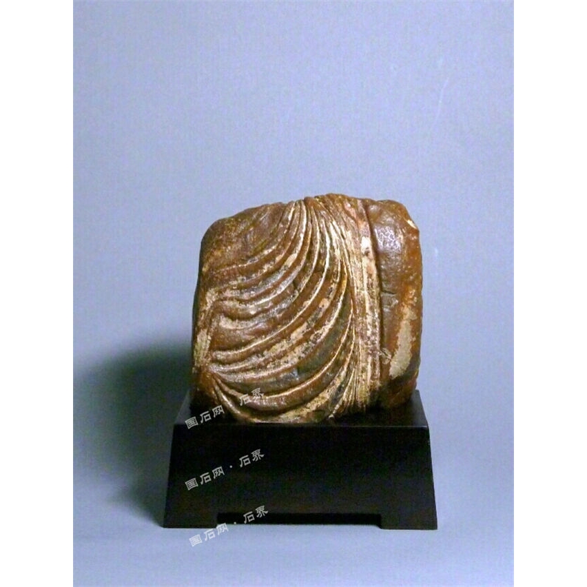 俞莹:形质色纹何谓美 - 资讯 - 国石网