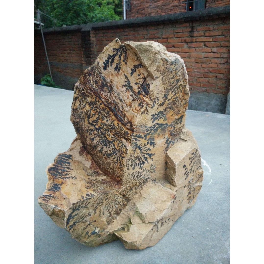 天然国画模树石