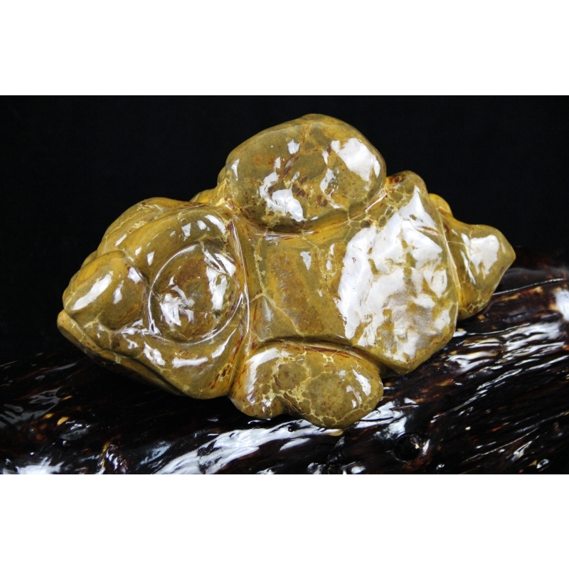 藏瓷奇石鉴赏——金钱龟