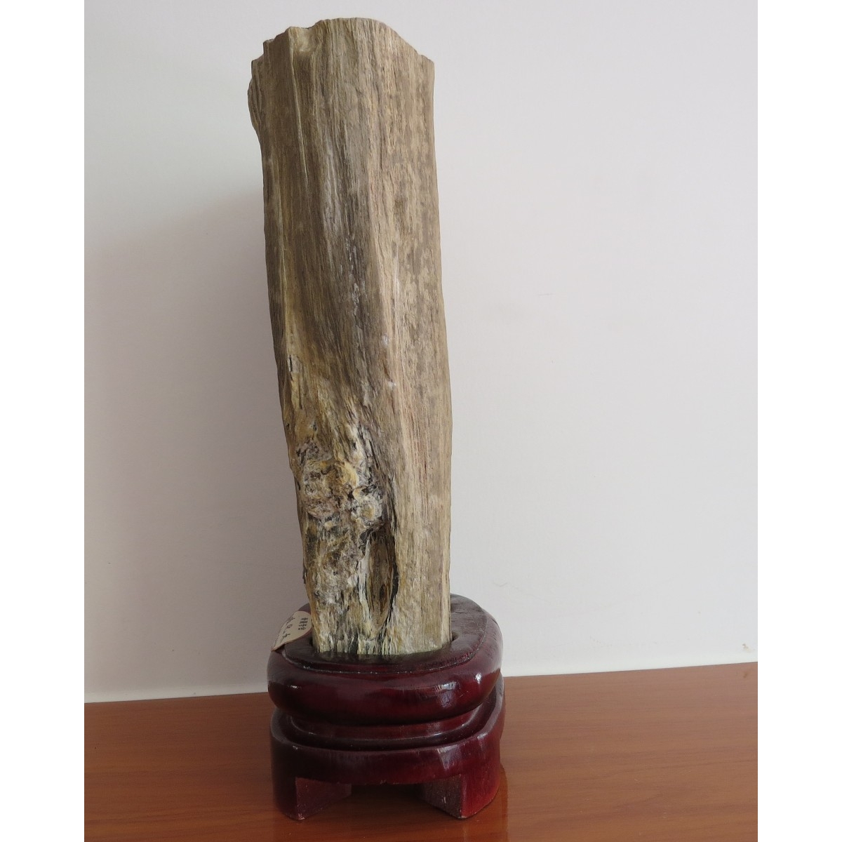 亿万年前的红杉树干