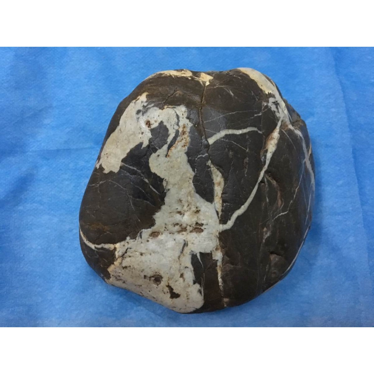 【怒江石】慈航普度