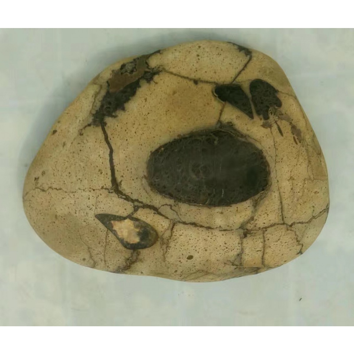 石体上的另一种岩性构成了墨绿色的荷叶,整个画面优美,犹如荷塘中的某