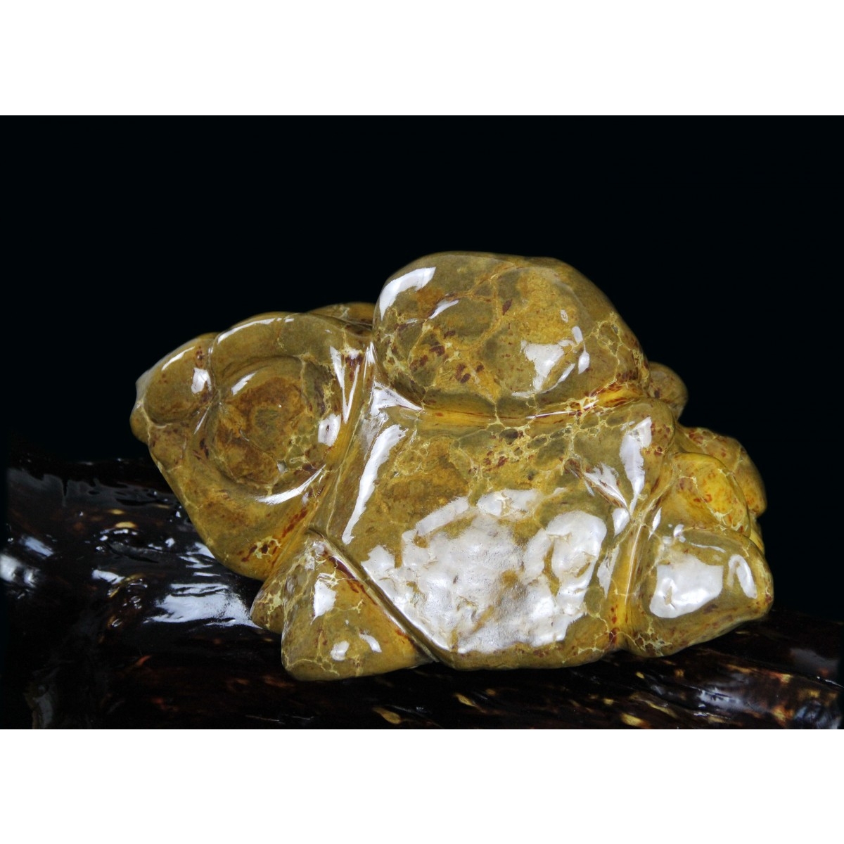 论坛 赏石茶馆 【藏瓷】藏瓷奇石——金钱龟