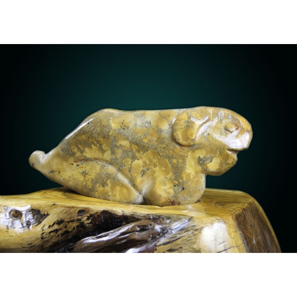 【藏瓷】富贵狗