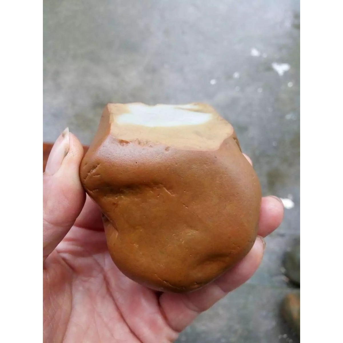 【黄蜡石】金包玉【一】