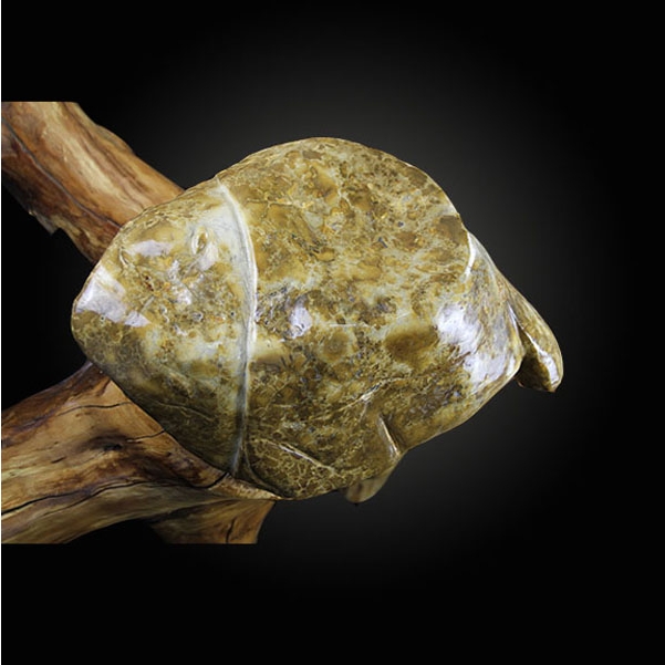 藏瓷奇石——互影龟鱼