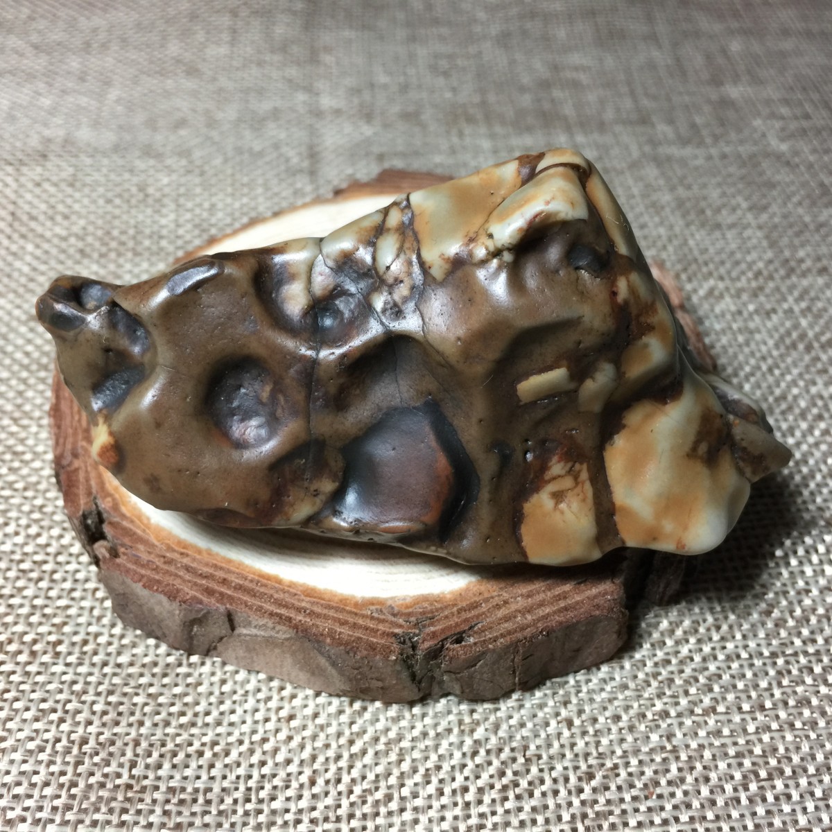 【买一赠二】阿拉善牙石小玩18