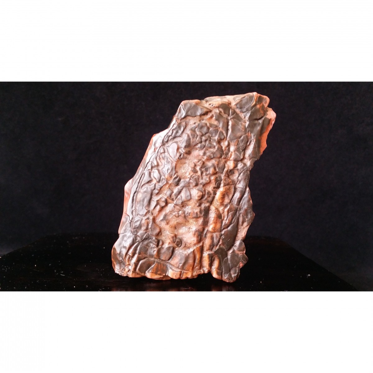 藏品名称:戈壁石—【岁月】 石种:阿拉善戈壁石 产地:内蒙古 大小:6*