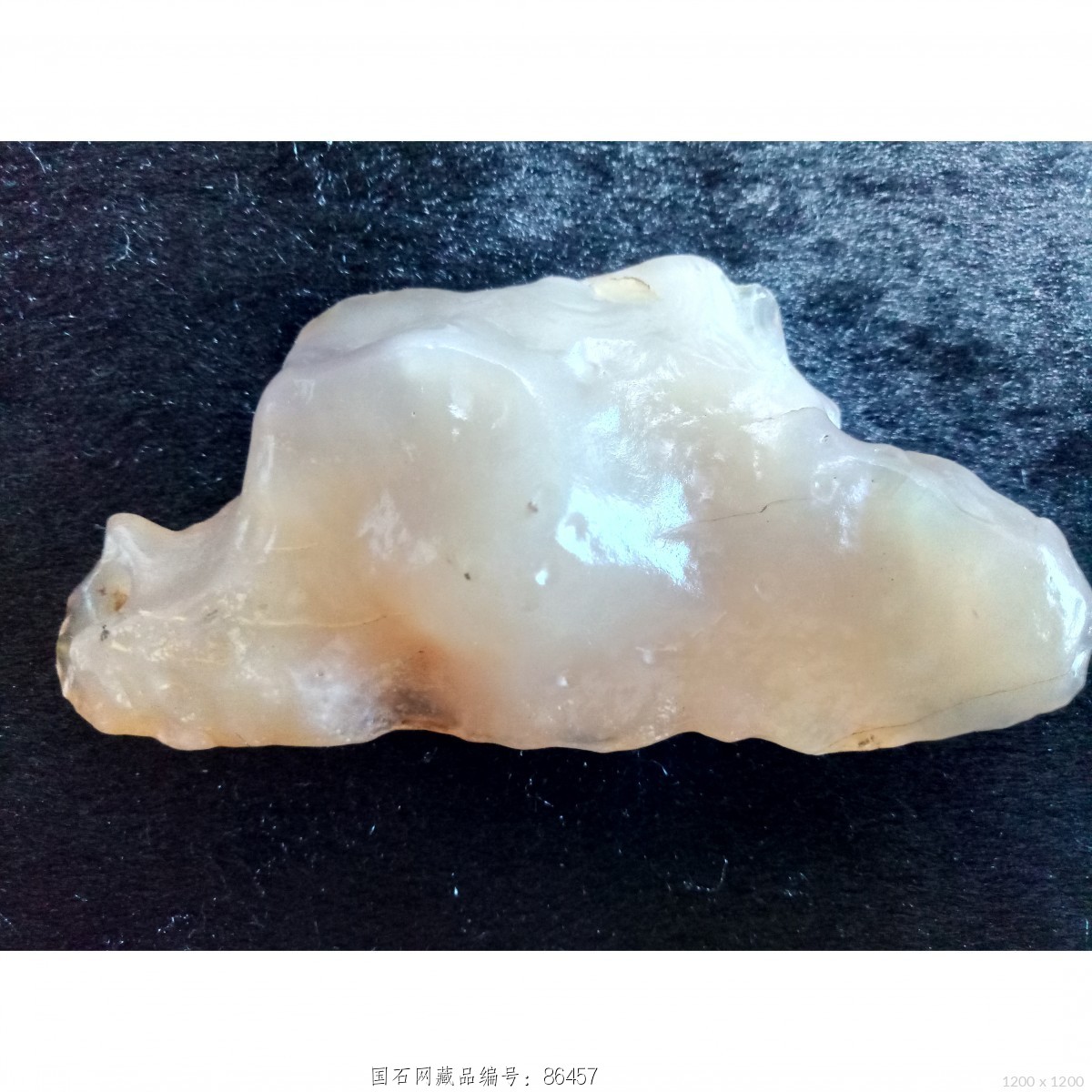 蜗牛 一步一步往上爬