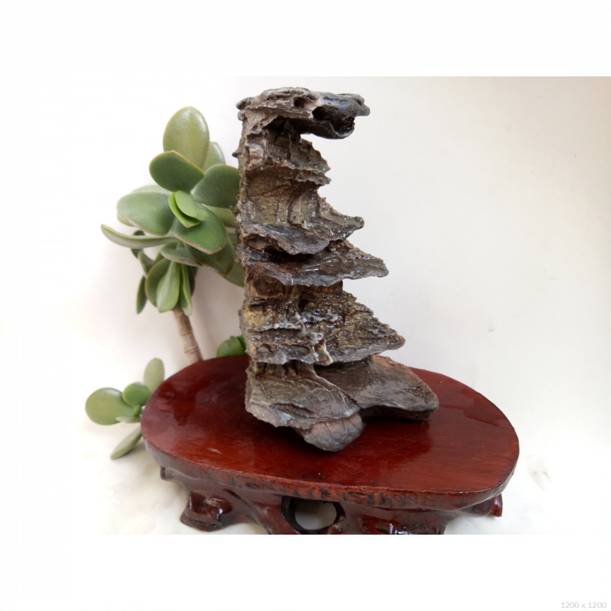 猎豹奇石店  戈壁风凌石 藏品名称:戈壁风凌石 石种:戈壁风凌石 产地