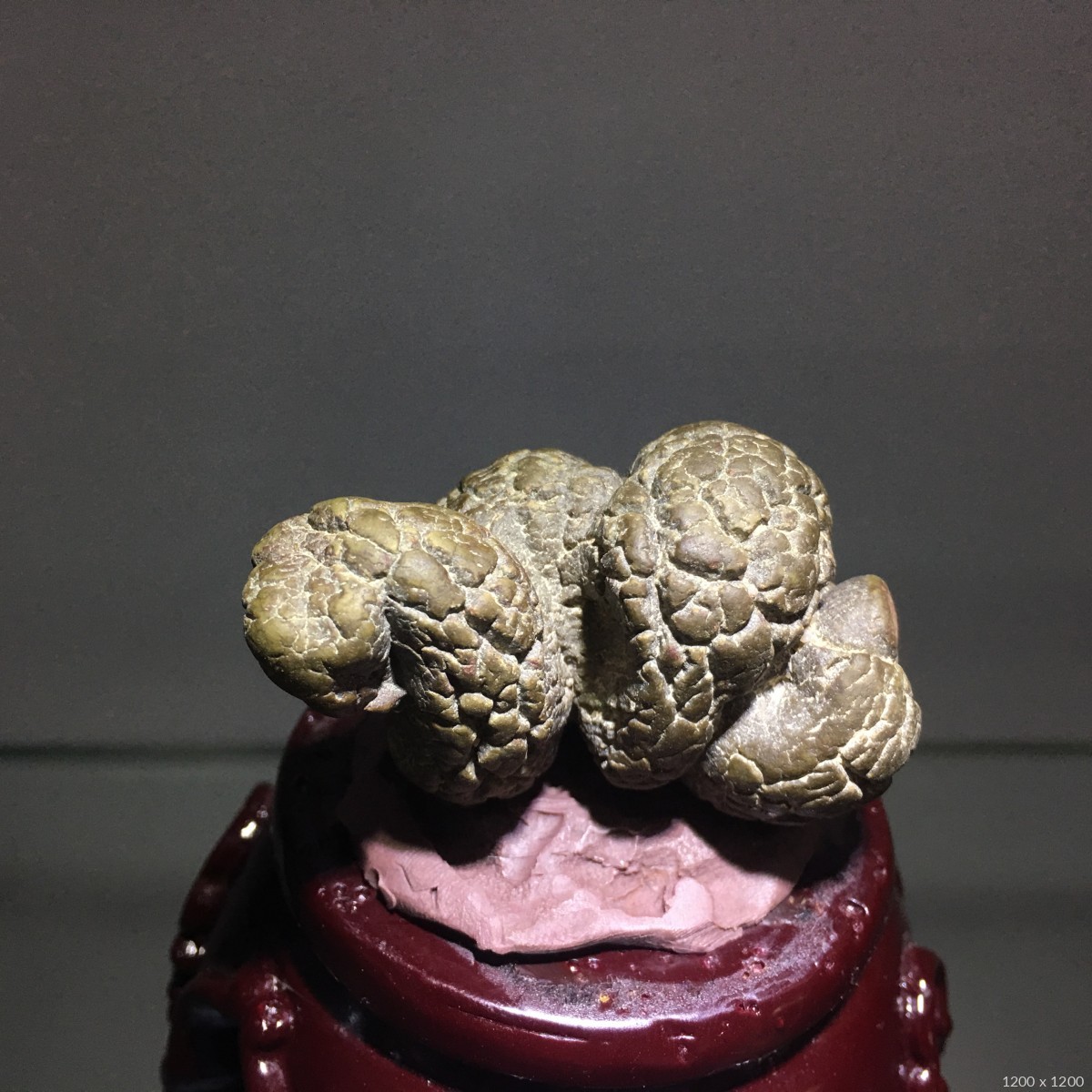 蛇- 石馆 - 国石网