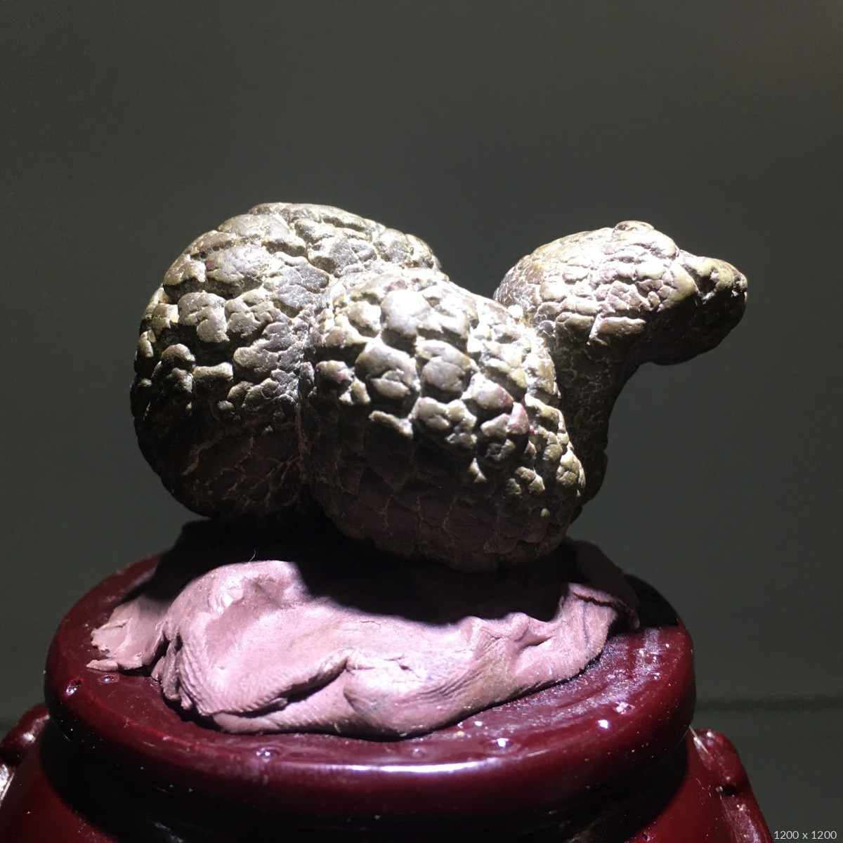 蛇- 石馆 - 国石网