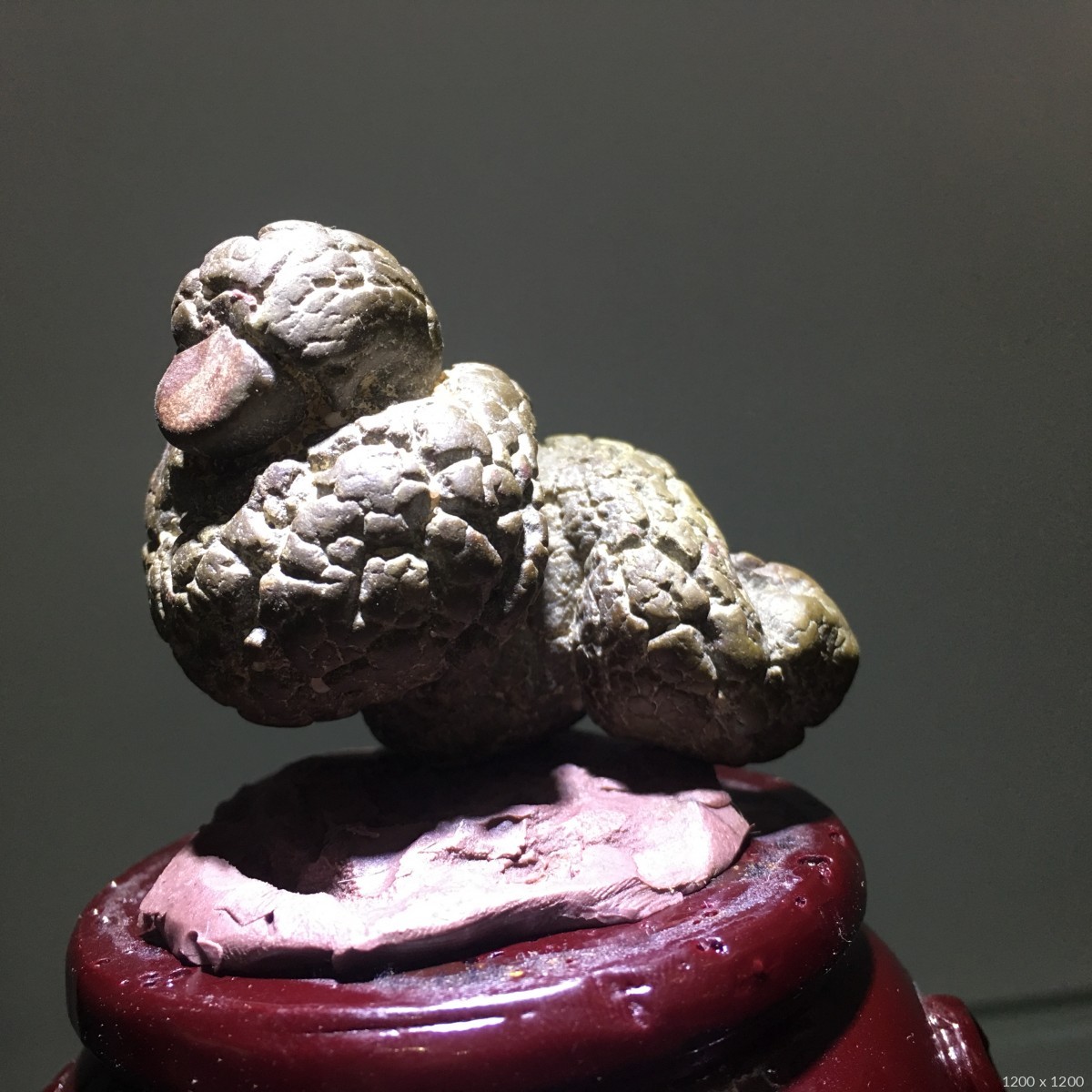 石馆 志刚奇石馆  蛇 藏品名称:蛇 石种:戈壁石 产地: 大小:5.