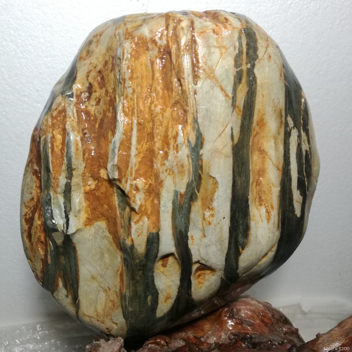 石馆 玉华石轩  春兰馨香《新馆特惠》 藏品名称:春兰馨香《新馆特惠