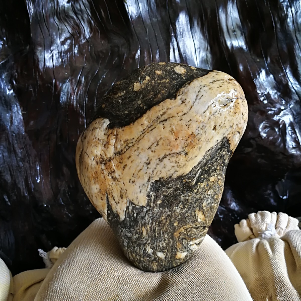 怒江雪浪石～人物头像 藏品名称:怒江雪浪石～人物头像 石种:怒江石